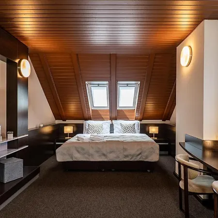 Hotel Wellness Pod Kycmolem 4*