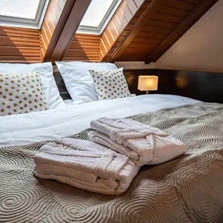Wellness Pod Kycmolem Hotel Horni Lomna