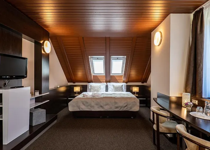 Otel Wellness Pod Kycmolem 4*
